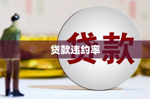 安义贷款违约率