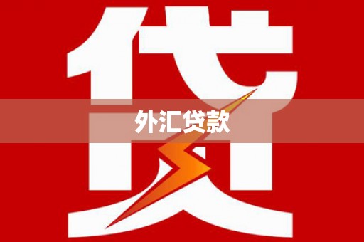 安义外汇贷款