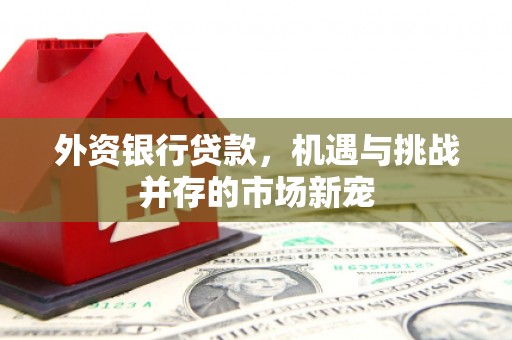安义外资银行贷款，机遇与挑战并存的市场新宠