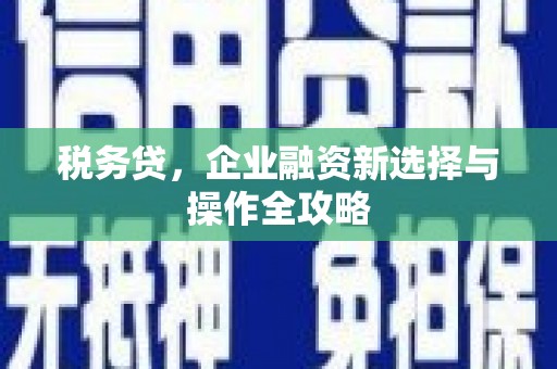 安义税务贷，企业融资新选择与操作全攻略