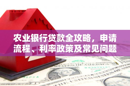 安义农业银行贷款全攻略，申请流程、利率政策及常见问题解析