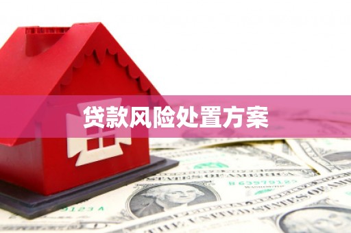 安义贷款风险处置方案