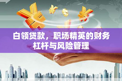 安义白领贷款，职场精英的财务杠杆与风险管理