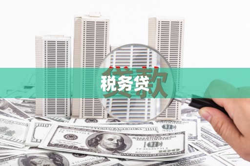 安义税务贷