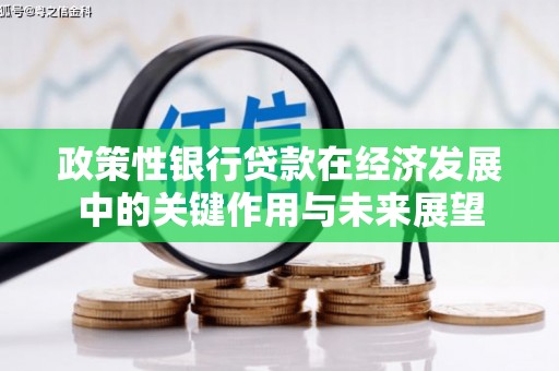 安义政策性银行贷款在经济发展中的关键作用与未来展望