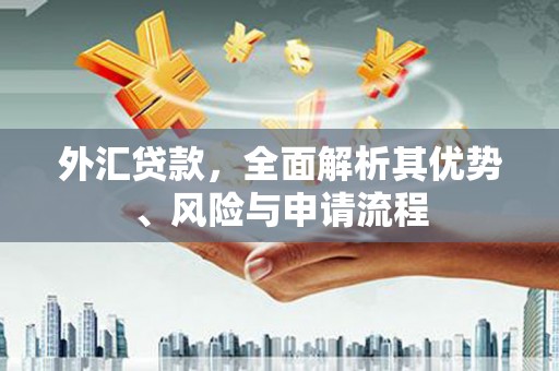 安义外汇贷款，全面解析其优势、风险与申请流程