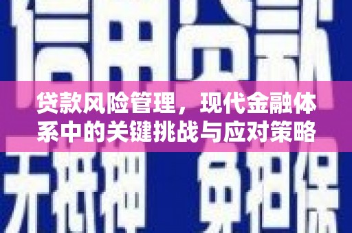 安义贷款风险管理，现代金融体系中的关键挑战与应对策略