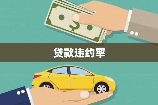 安义贷款违约率