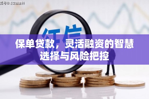 安义保单贷款，灵活融资的智慧选择与风险把控