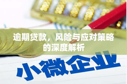 安义逾期贷款，风险与应对策略的深度解析