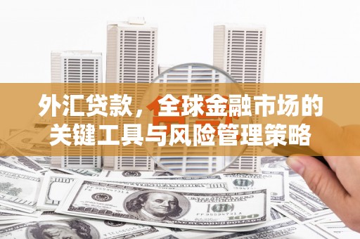 安义外汇贷款，全球金融市场的关键工具与风险管理策略