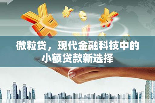 安义微粒贷，现代金融科技中的小额贷款新选择
