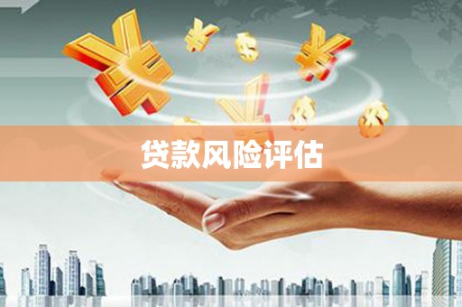 安义贷款风险评估