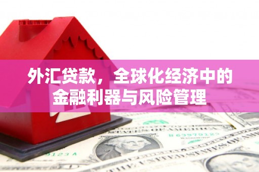 安义外汇贷款，全球化经济中的金融利器与风险管理