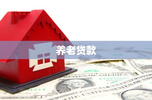 安义养老贷款