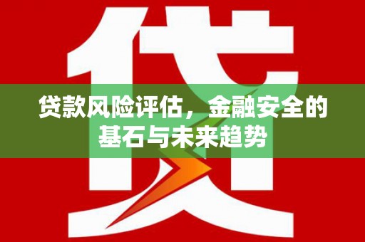 安义贷款风险评估，金融安全的基石与未来趋势