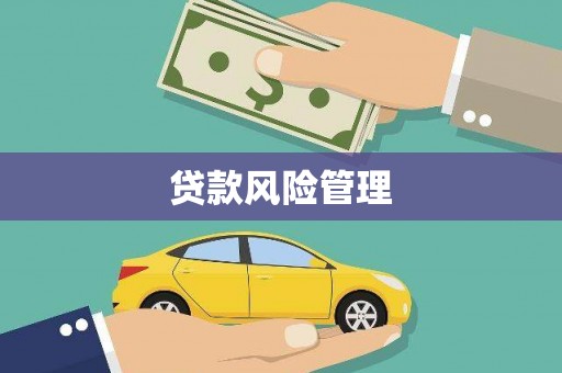 安义贷款风险管理