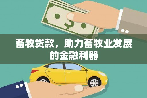 安义畜牧贷款，助力畜牧业发展的金融利器