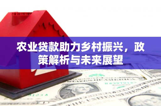 安义农业贷款助力乡村振兴，政策解析与未来展望