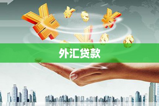 安义外汇贷款