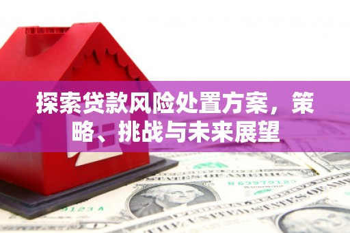 安义探索贷款风险处置方案，策略、挑战与未来展望