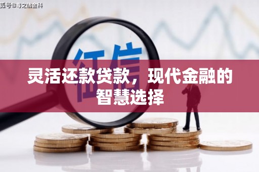 安义灵活还款贷款，现代金融的智慧选择