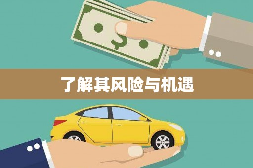 安义了解其风险与机遇