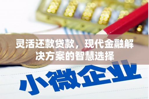 安义灵活还款贷款，现代金融解决方案的智慧选择