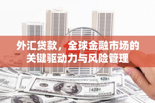 安义外汇贷款，全球金融市场的关键驱动力与风险管理