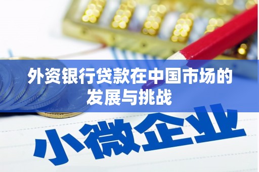 安义外资银行贷款在中国市场的发展与挑战