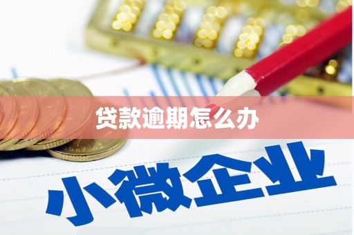 安义贷款逾期怎么办