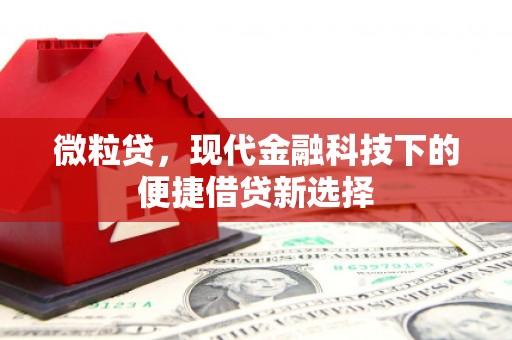 安义微粒贷，现代金融科技下的便捷借贷新选择