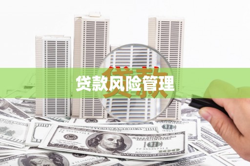 安义贷款风险管理