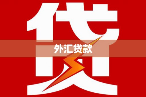 安义外汇贷款