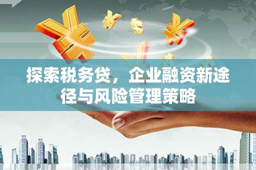 安义探索税务贷，企业融资新途径与风险管理策略