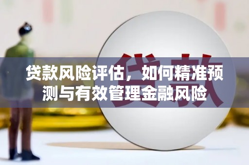 安义贷款风险评估，如何精准预测与有效管理金融风险