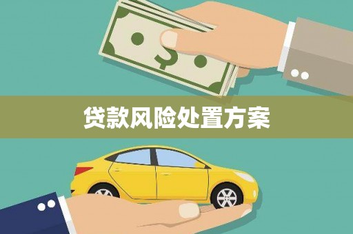 安义贷款风险处置方案