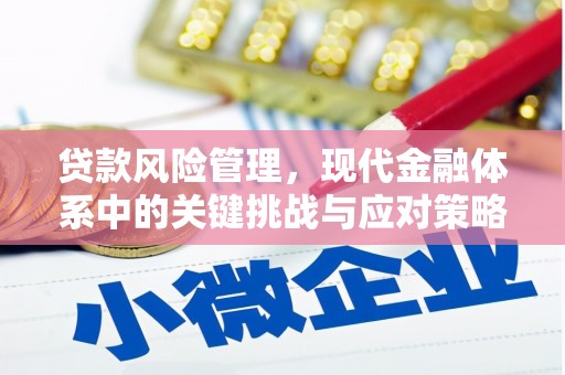 安义贷款风险管理，现代金融体系中的关键挑战与应对策略