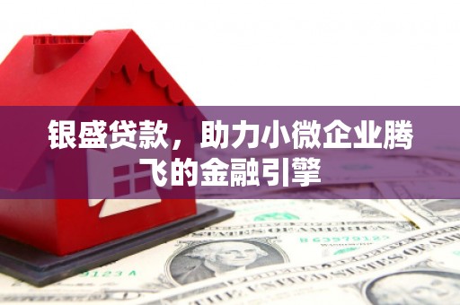 安义银盛贷款，助力小微企业腾飞的金融引擎