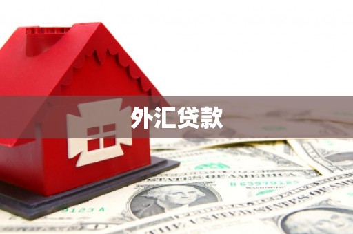 安义外汇贷款