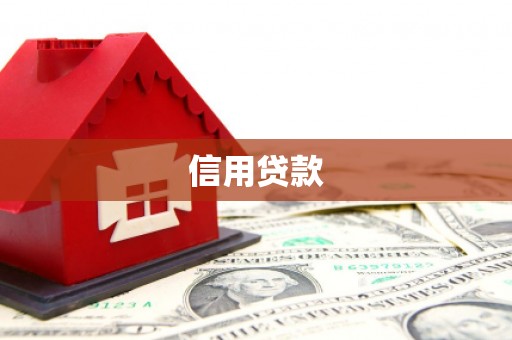 安义信用贷款