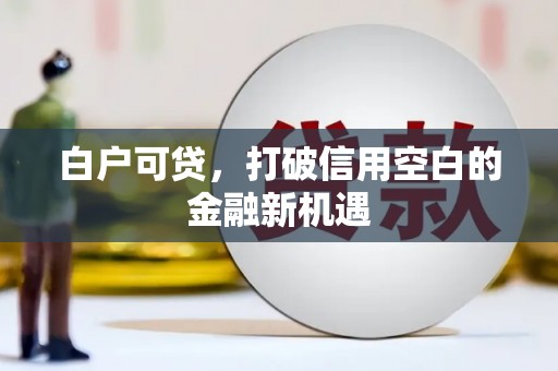 安义白户可贷，打破信用空白的金融新机遇