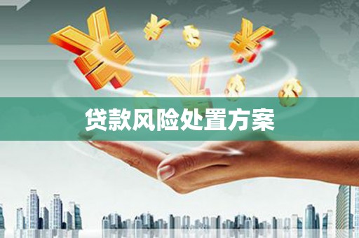 安义贷款风险处置方案