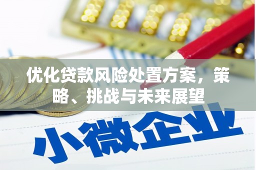 安义优化贷款风险处置方案，策略、挑战与未来展望