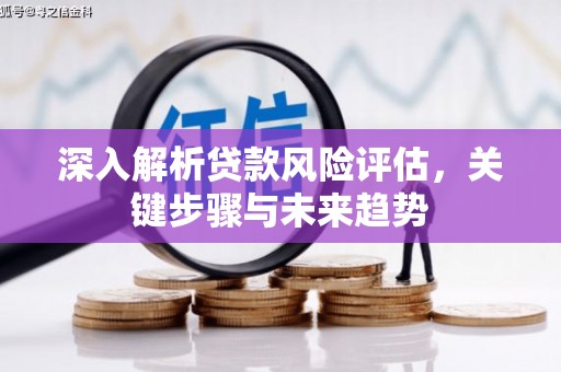 安义深入解析贷款风险评估，关键步骤与未来趋势