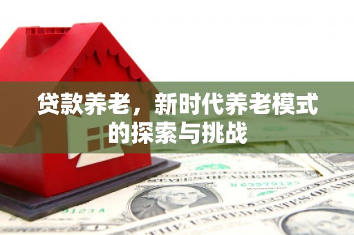 安义贷款养老，新时代养老模式的探索与挑战