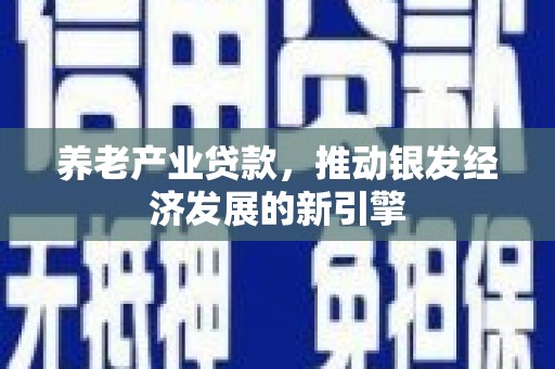 安义养老产业贷款，推动银发经济发展的新引擎