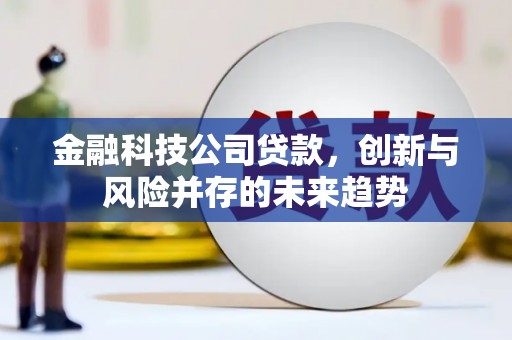 安义金融科技公司贷款，创新与风险并存的未来趋势