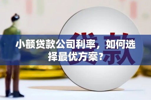 安义小额贷款公司利率，如何选择最优方案？