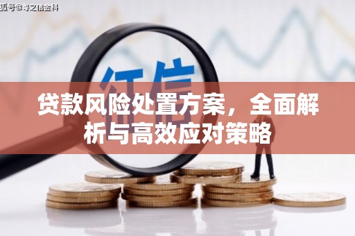 安义贷款风险处置方案，全面解析与高效应对策略